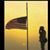 Dave Riekena's profile image