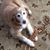 Karen Martin Herrmann's profile image