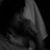 Ariane Owens's profile image