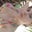 Luz González's profile image