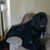 Susan Hallwachs's profile image