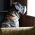 Katy Smeltzer Goslin's profile image