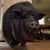 Bruce Fleming's profile image