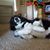 Pat Jackson Haase's profile image