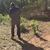 Alexander Prieto's profile image