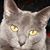 Linda Pakulski's profile image