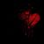 Anthony Ingrassia's profile image