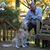 Ian Almond's profile image