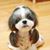 Suzanne Howorth's profile image