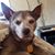 Terri Evans's profile image
