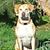 Sandy Taylor's profile image