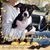Rhonda Thurman's profile image