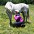 Barbara Kirchner Magrogan's profile image