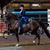 Denise B Wray's profile image