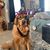 Karen Prusak Kashuk's profile image