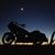 Rhonda Kline-Lohmar's profile image