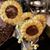 Patricia Brassel's profile image