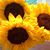 Renee Fenicle Abdelmalek's profile image