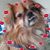 Blaire Everett's profile image