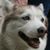 Margaret Serio Hays's profile image