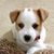 Janet Leibring's profile image