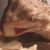 Marie Hodges's profile image