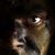 William Stephens's profile image