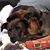 Michelle Blasco Crawford's profile image