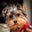 Rose S's profile image