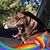 Jean Taylor-Woodbury's profile image