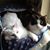 Katrina Thornton's profile image