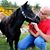 Brian Hohstadt's profile image