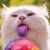 Melanie Smyth's profile image