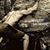 Devone Pollard's profile image