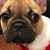 Nora Baham's profile image