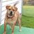 Marilyn Knapp's profile image