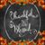 Lisa Schiederer Williamson's profile image