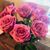 Perla Flores's profile image