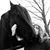 Julie Biros's profile image