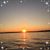 Maureen Mcgrath-Arnone's profile image