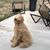 Heather Steffy's profile image
