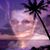 Vidal Songo's profile image