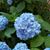 Janet Wooley's profile image
