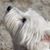 Cat Bryant's profile image