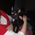 Jodie Millican's profile image
