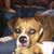 Nicole Bredeweg's profile image