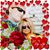 Susan Nicholls's profile image