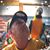 Kurt Greening's profile image
