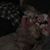 Michele Waite's profile image