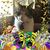 Jim Beaux's profile image